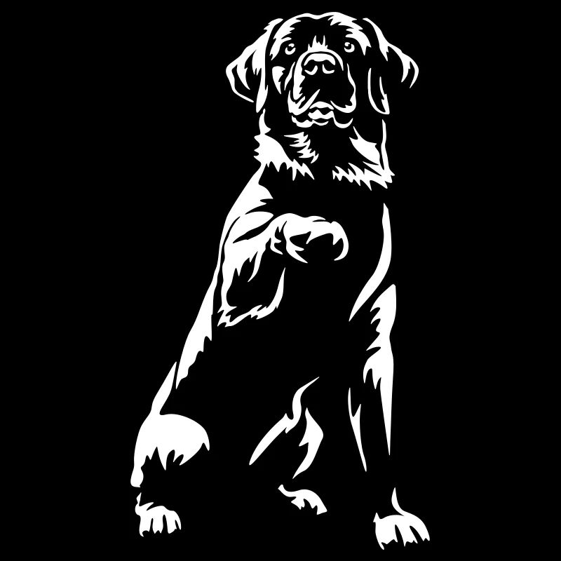 Labrador « Édition Noire »