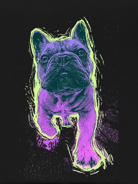 Neon Bulldog Splash
