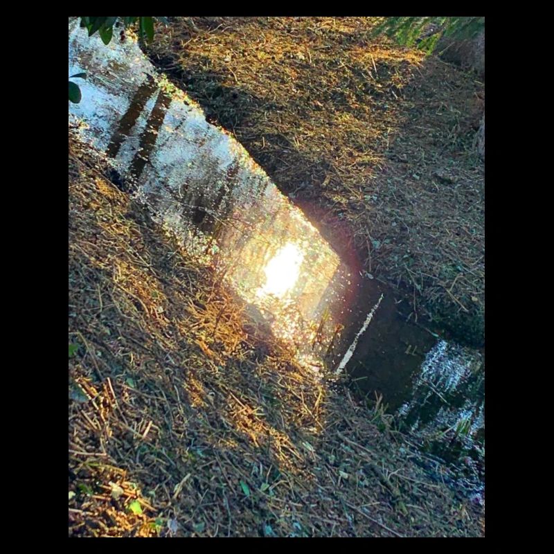 wasser nature