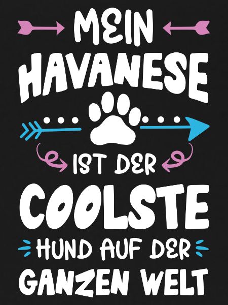 havanese hund spruch