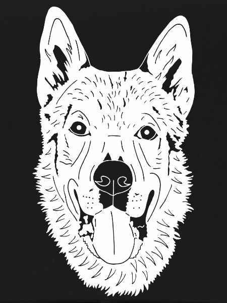 Tschechoslowakischer Wolfhund