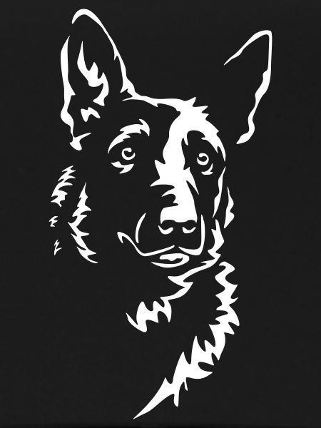 Malinois Head « Black Edition »