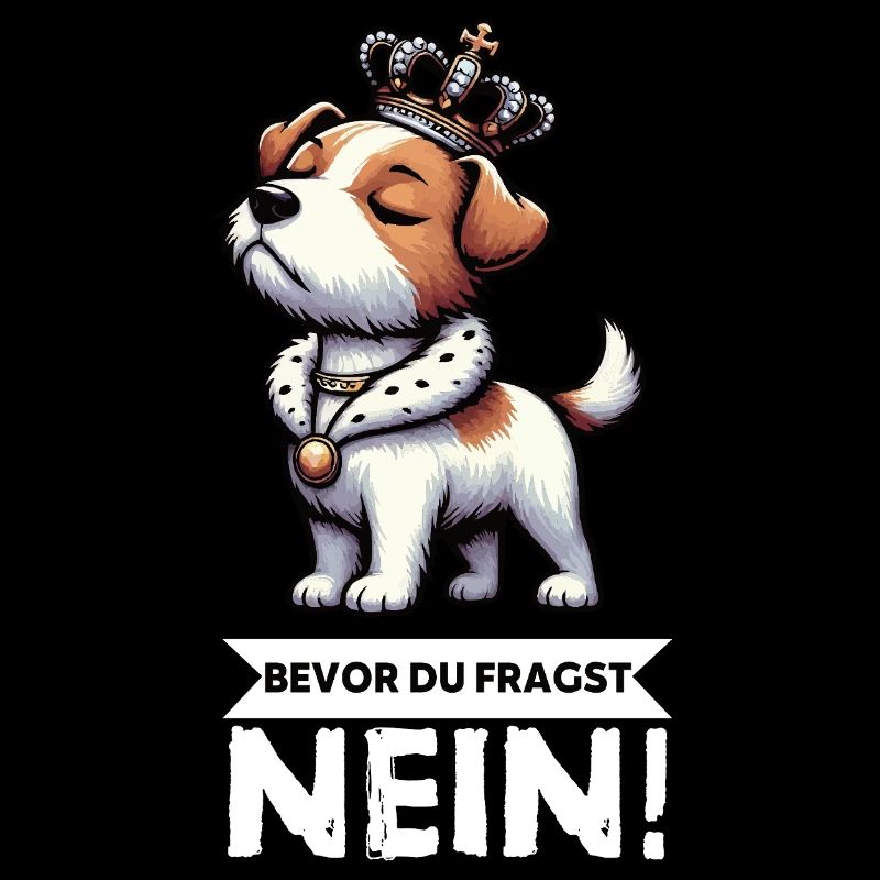 Bevor du Fragst Jack Russel terrier Jackie Terrier