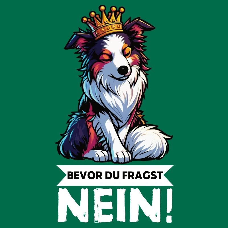 Bevor Du Fragst Australian Shepherd Aussie Aussie