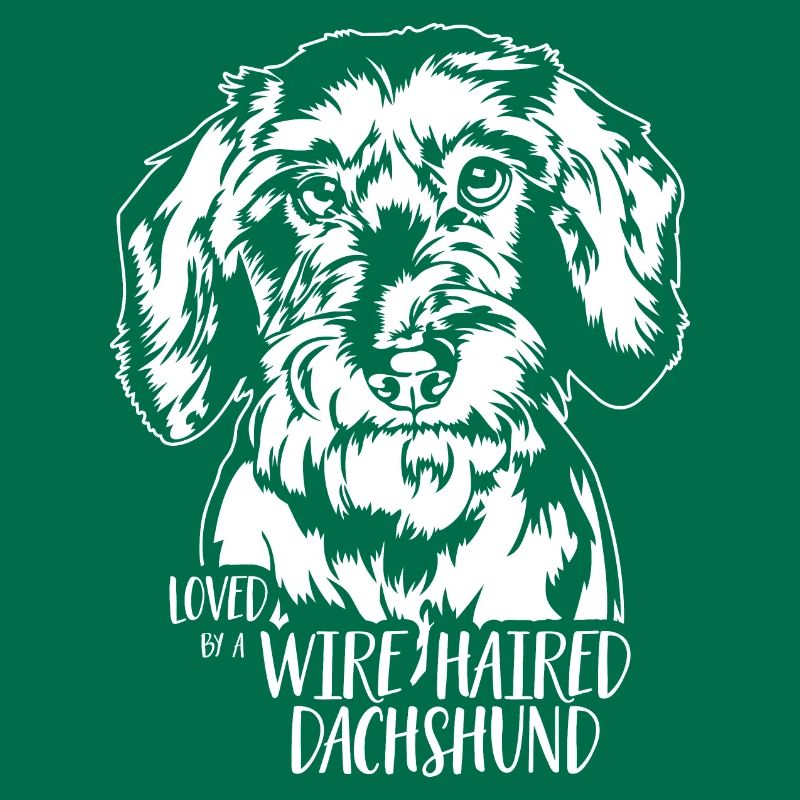 Loved by a Wire Haired Dachshund Hunde Wilsigns