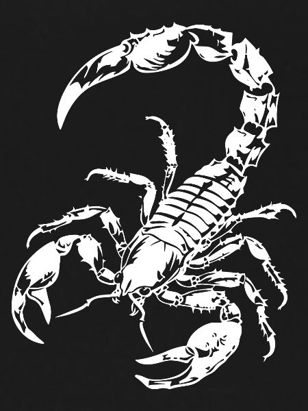 Scorpion