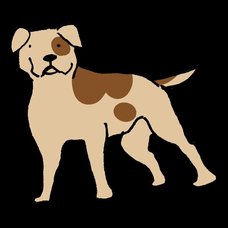 American Bulldog