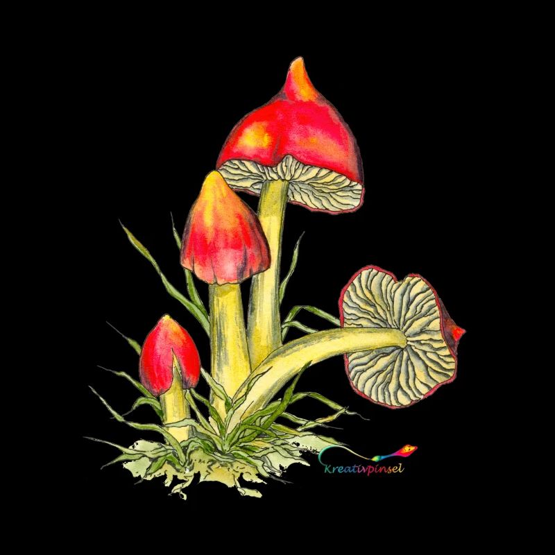 Blackening sapling (Hygrocybe conica)