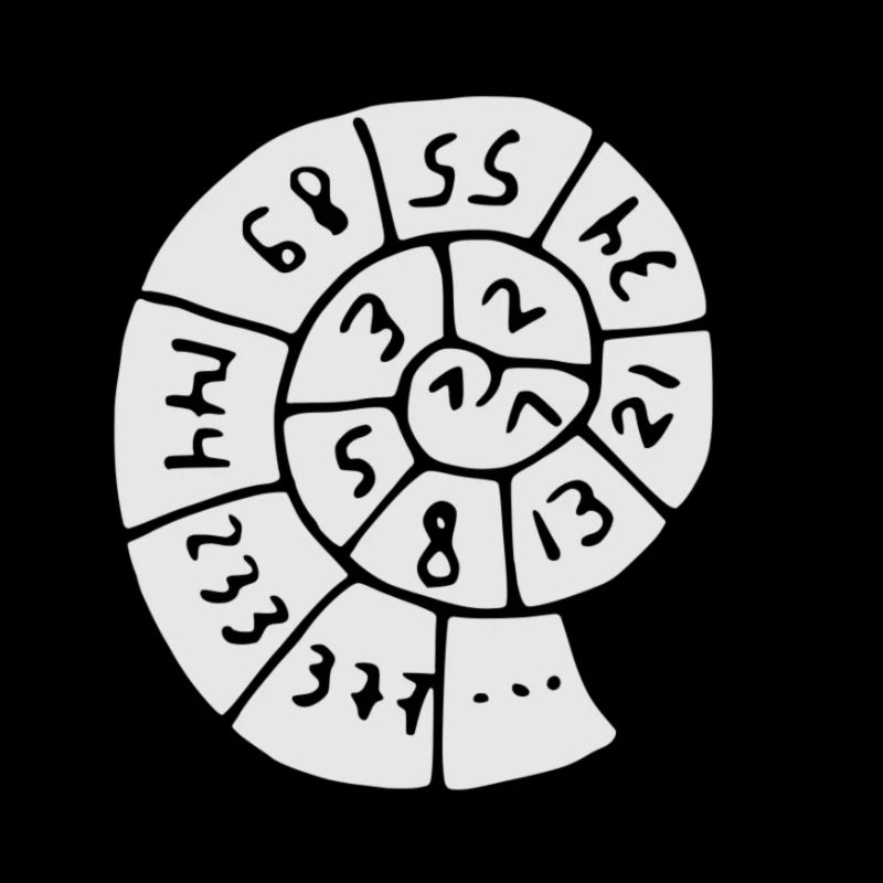 Fibonacci Schnecke