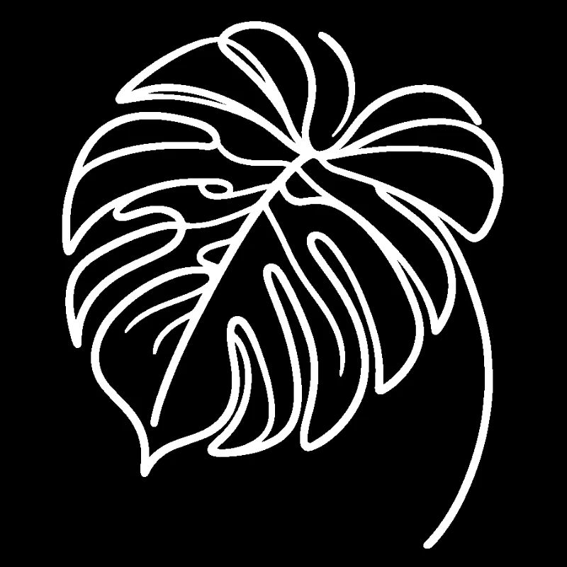 Monstera