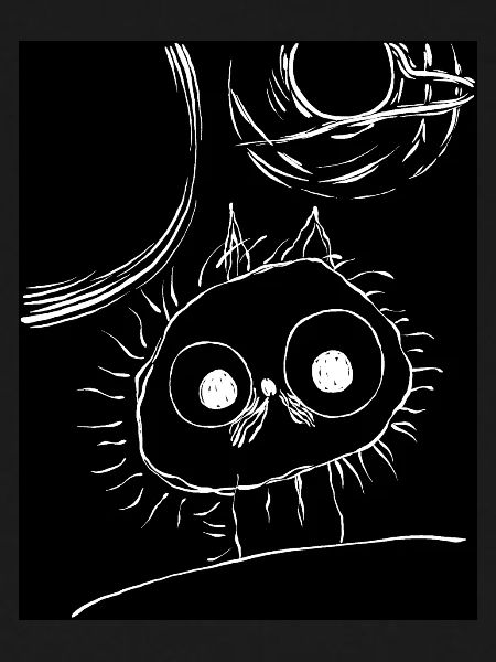 Chat dans l’espace
