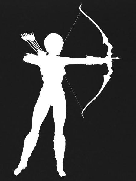bow and arrow