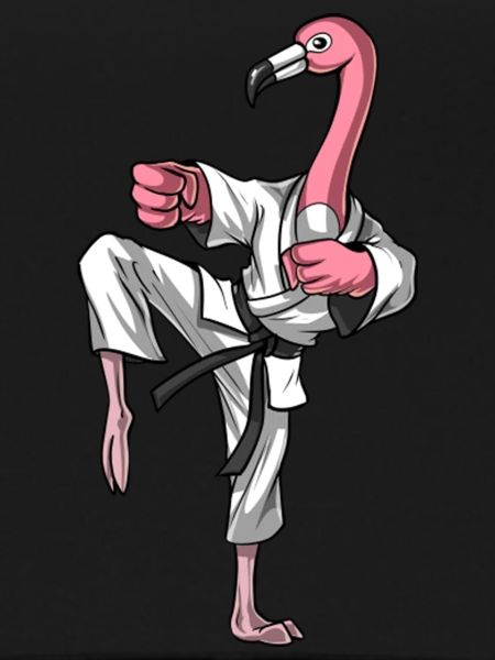 Flamingo Bird Karate