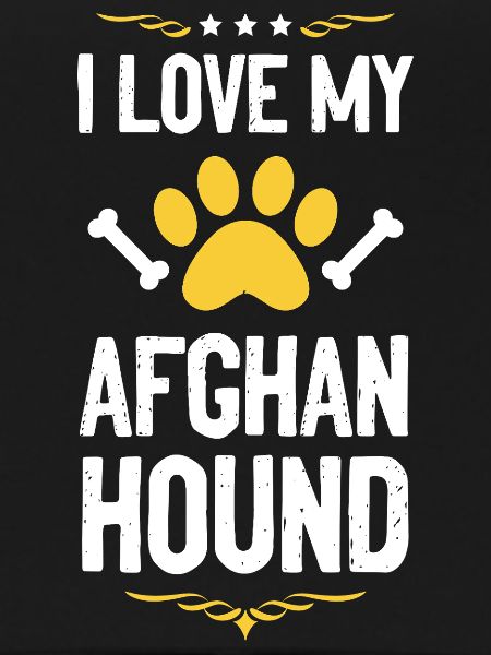 J’adore mon lévrier afghan