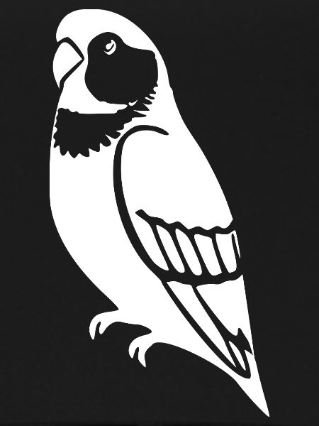 Parrots Bird Geshenk