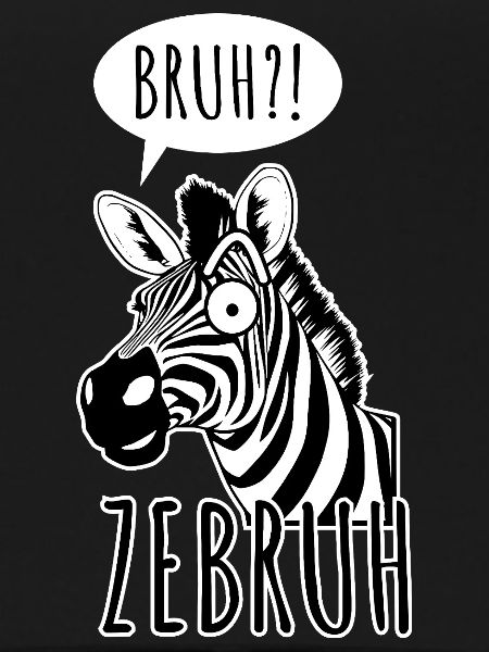 Zebra Bro - A ZeBRUH!