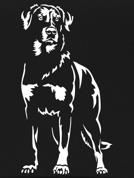 Beauceron "Black Edition"
