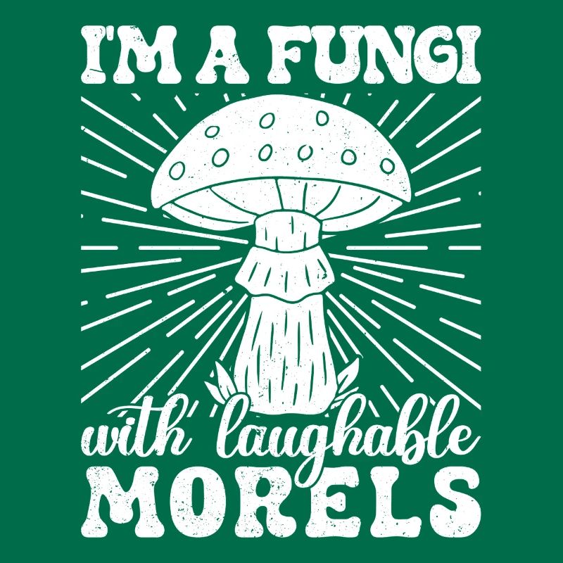 Morilles Champignons Champignons Morilles risibles Champignon