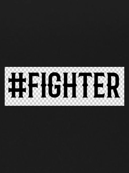 Fighter