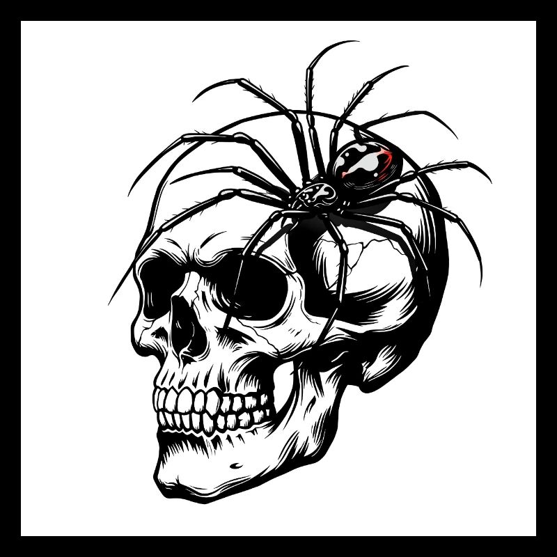 Crâne et araignée – Toile de la mort