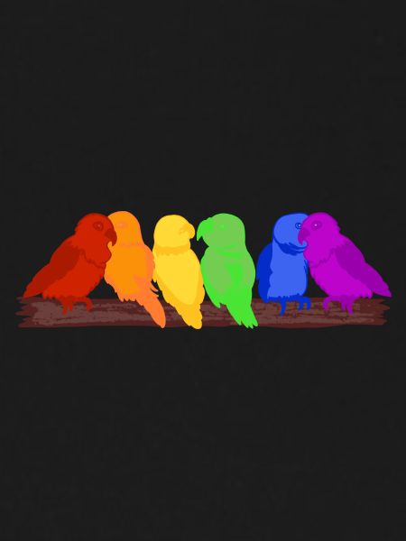 Rainbow of birds