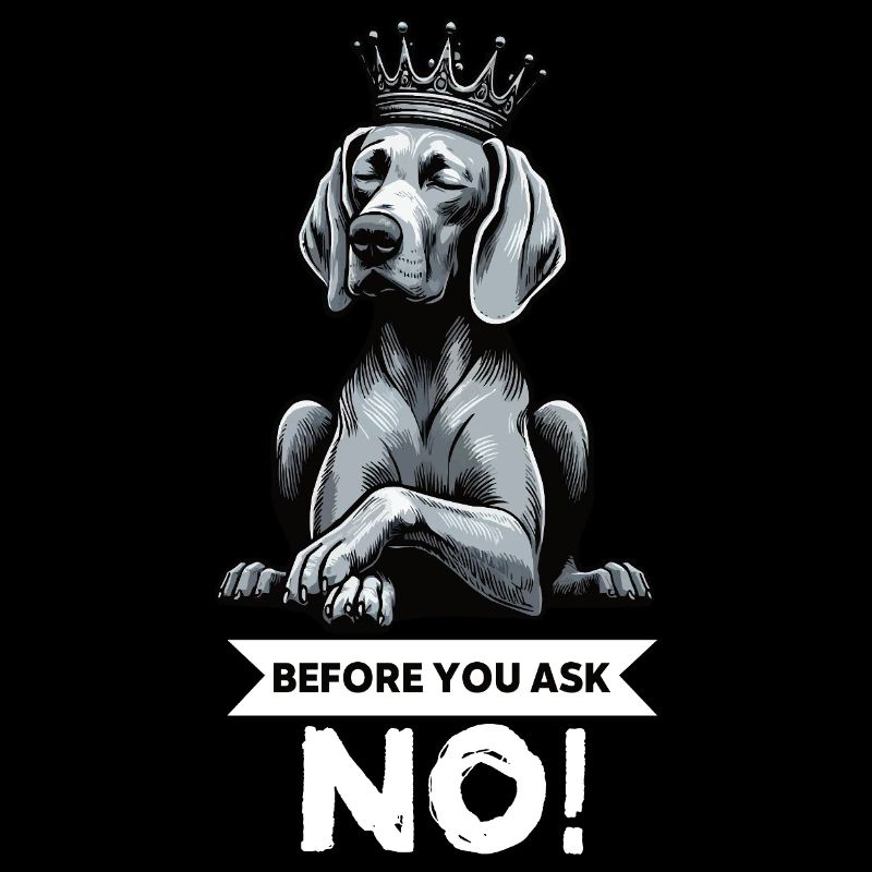 Before You Ask Weimaraner Weimaraner Lovers