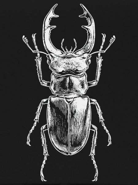 Big Insect-Design