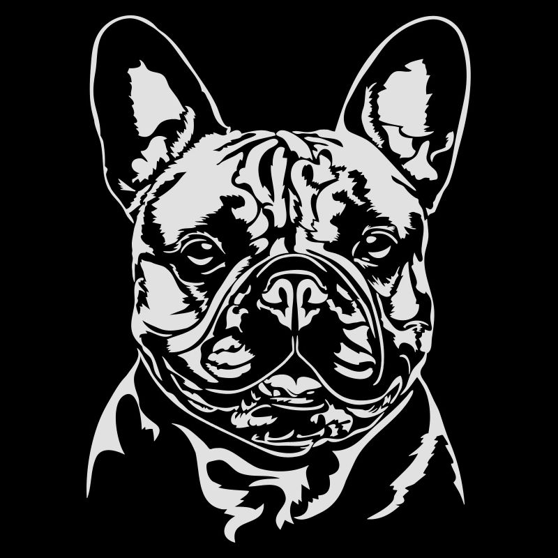 Bouledogue français - Bouledogue français Wilsigns