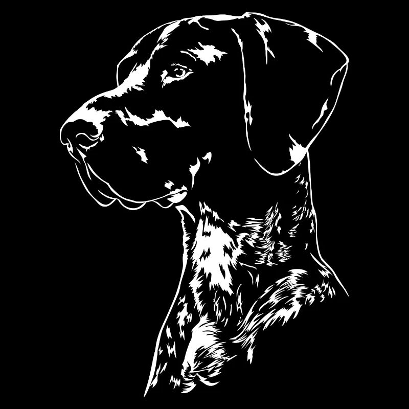DEUTSCH KURZHAAR Jagdhunde Jagdhund Wilsigns