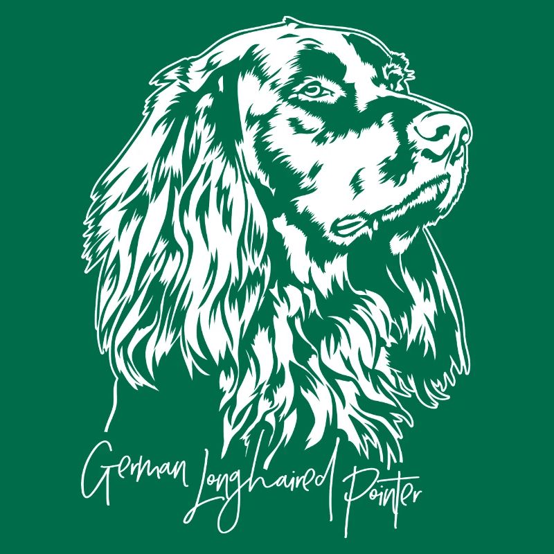 Pointer allemand à poil long chiens de chasse chiens Wilsigns