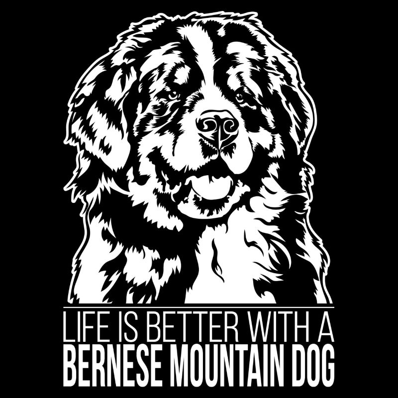 La vie de Bouvier Bernois est meilleure Chiens Wilsigns