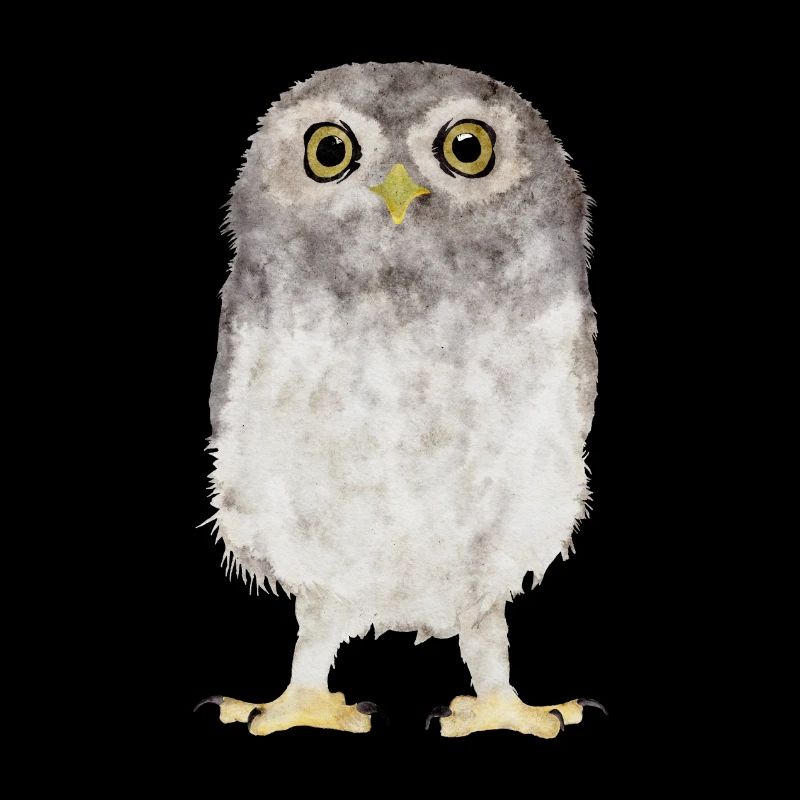 Hibou