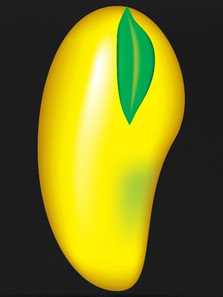 I love mango fruit
