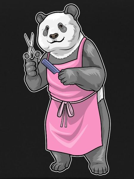 Panda Coiffe Ciseaux Peigne