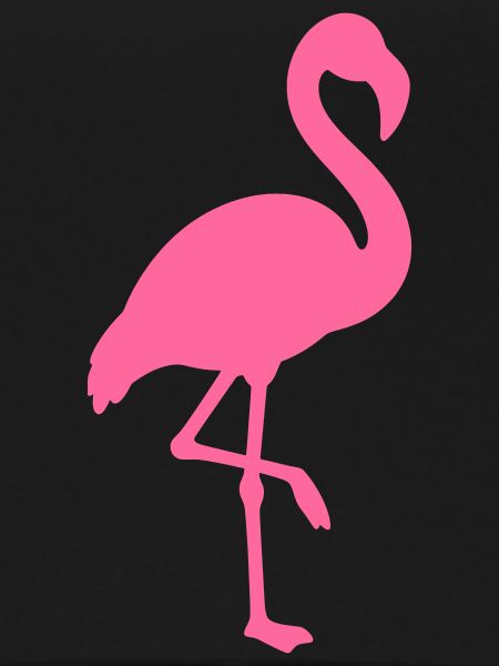 Flamingo Vektor