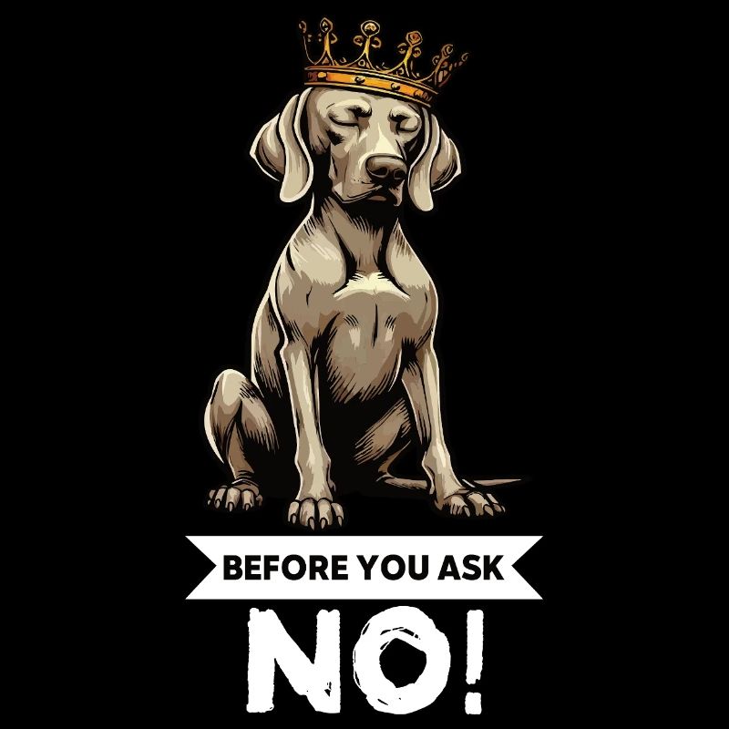 Before You Ask Weimaraner Weimaraner Lovers