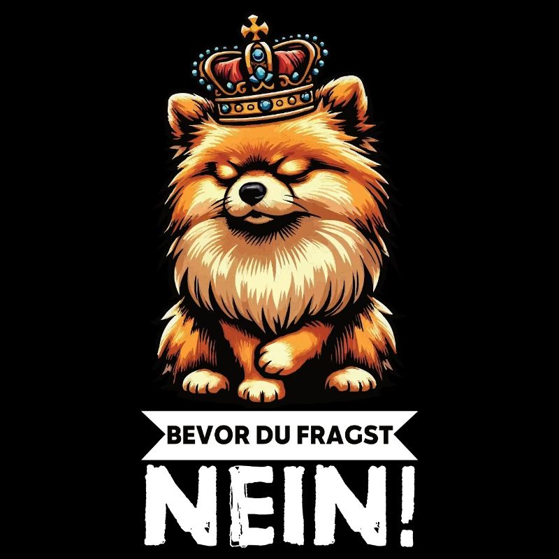 Bevor Du Fragst Nein Zwergspitz Zwergspitze Spitz 