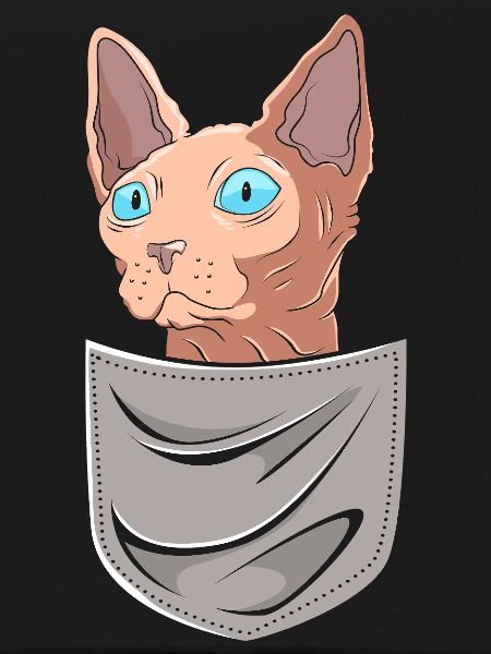 Le Sphynx