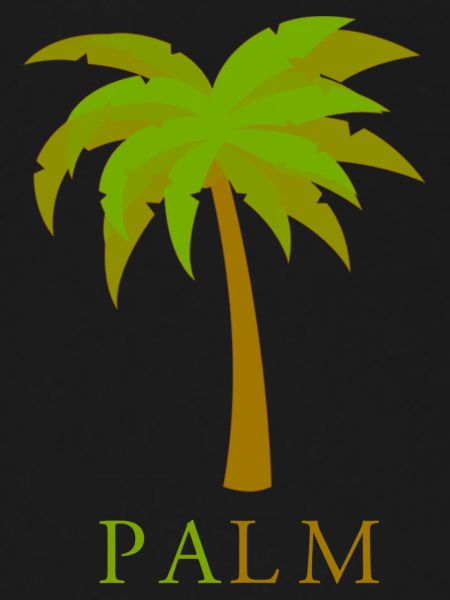 Palm