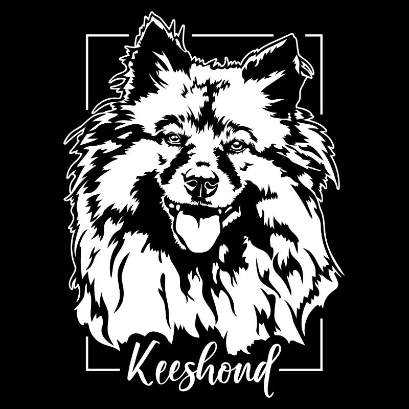 Keeshond Portrait de chien Chiens Wilsigns