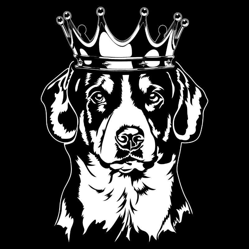 Entlebucher Sennenhund Krone Hunde Hund Wilsigns