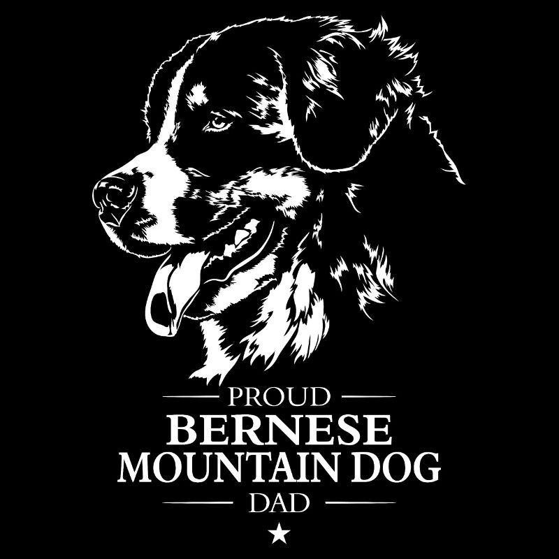 Bouvier bernois papa Hunde Hund Wilsigns