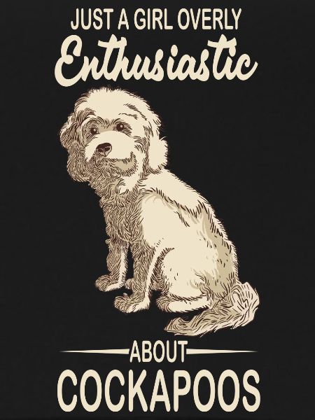 Cockapoo