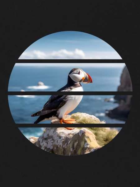 Puffin on a cliff