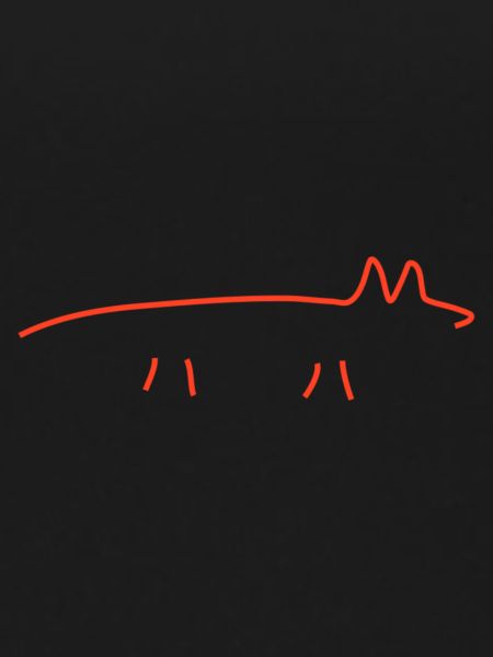 Red Fox