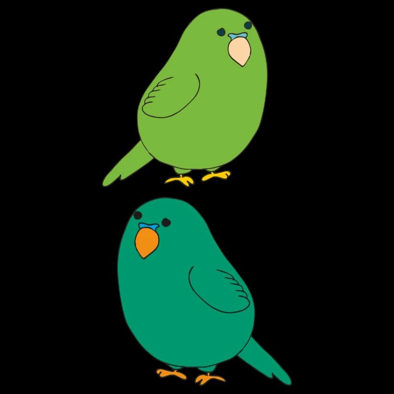 Budgie 2fold