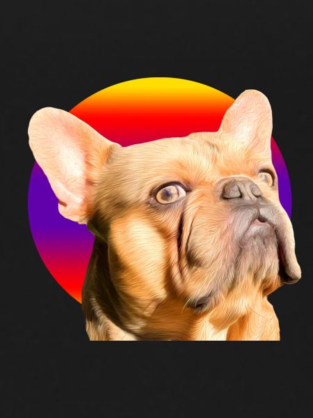 Freddie the Frenchie