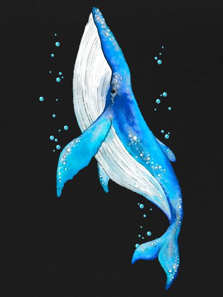 Whale
