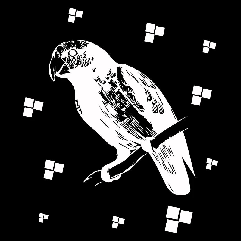 Papagei Kakadu Vogel Natur