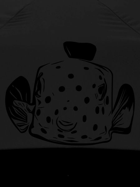 Kofferfisch